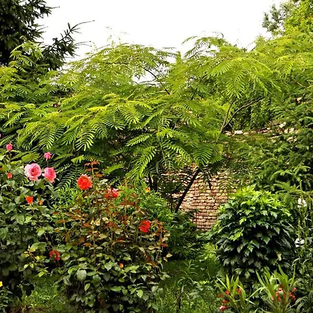 Mátyás Panzió Bed & Breakfast 3*